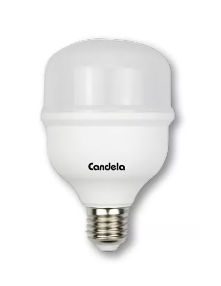 LAMPARA LED ALTA POTENCIA 20W FRIA